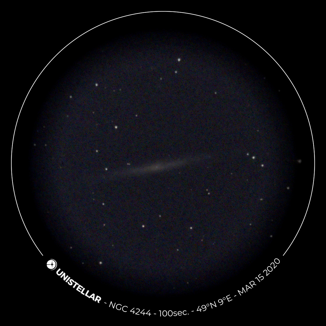 コレクション整理4枚セット】NGC イスラエル コレクション整理4枚